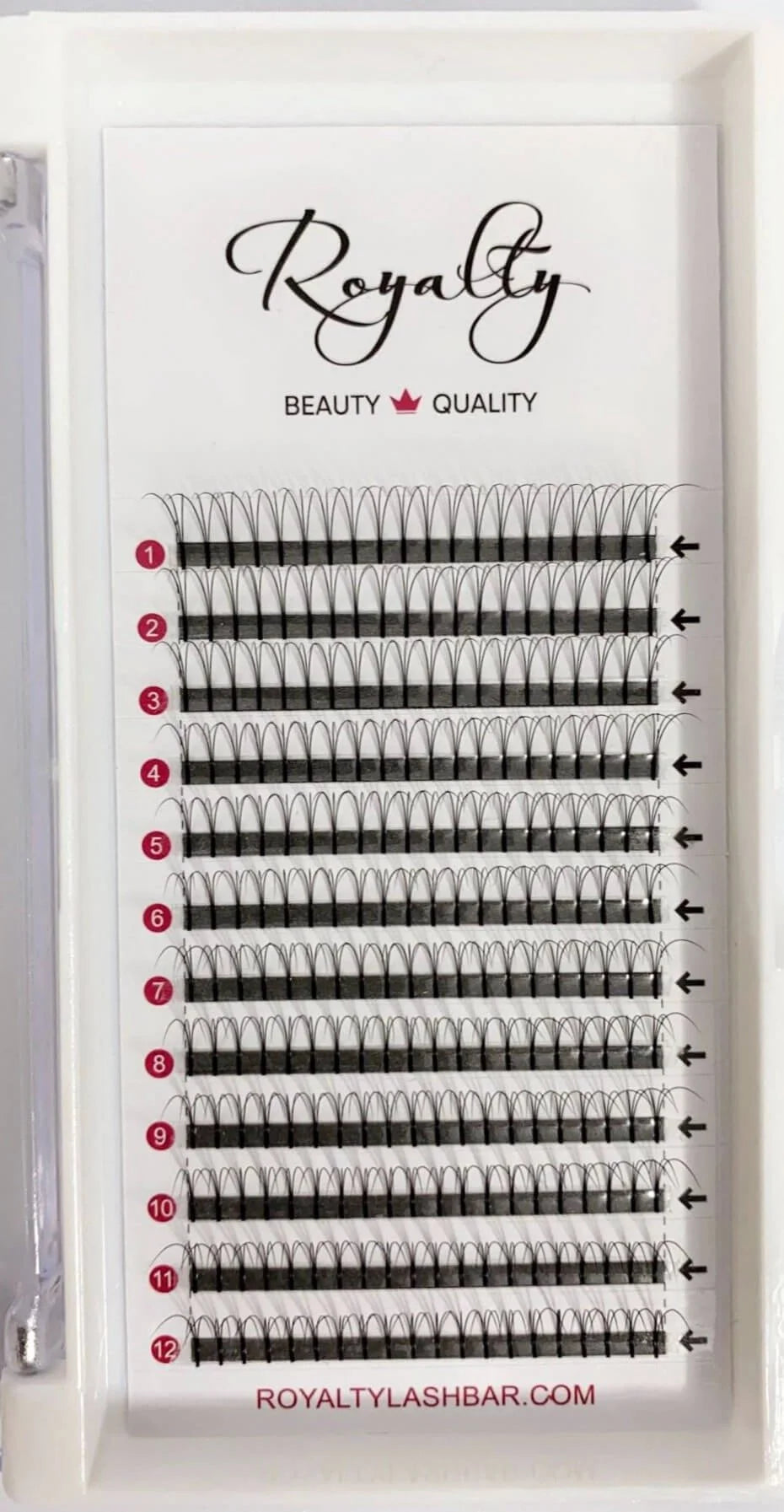 3D Pre-Made Fans Volume Lash
