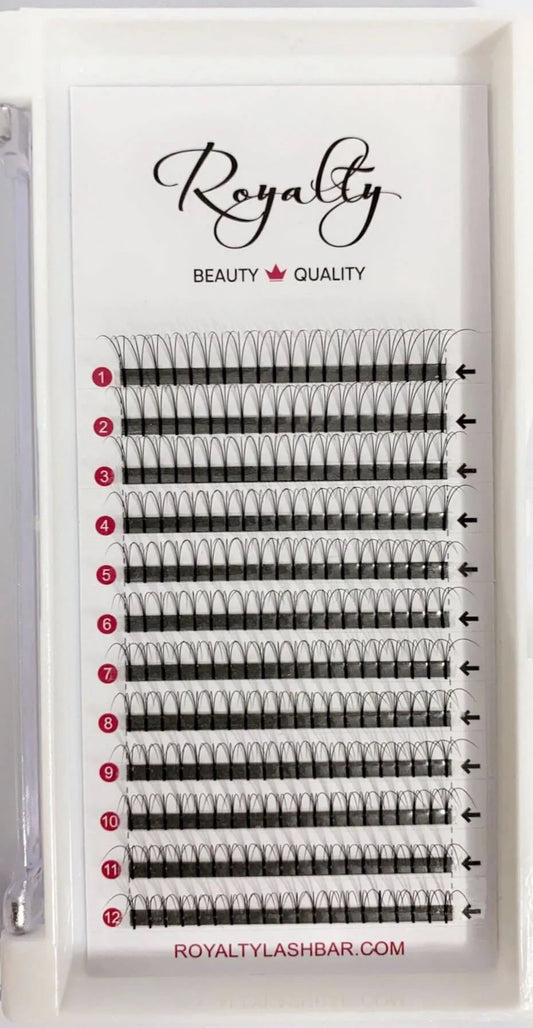 3D Pre-Made Fans Volume Lash