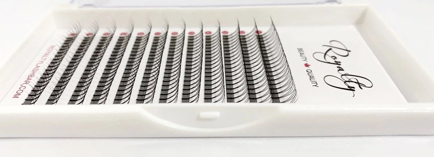 3D Pre-Made Fans Volume Lash