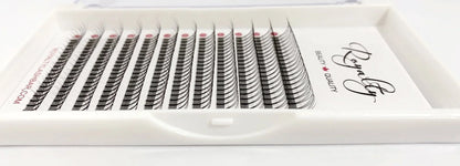 3D Pre-Made Fans Volume Lash
