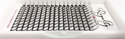 6D Pre-Made Fan Lashes