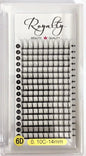 6D Pre-Made Fan Lashes