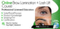 Online Lash Lift & Brow Lamination Course